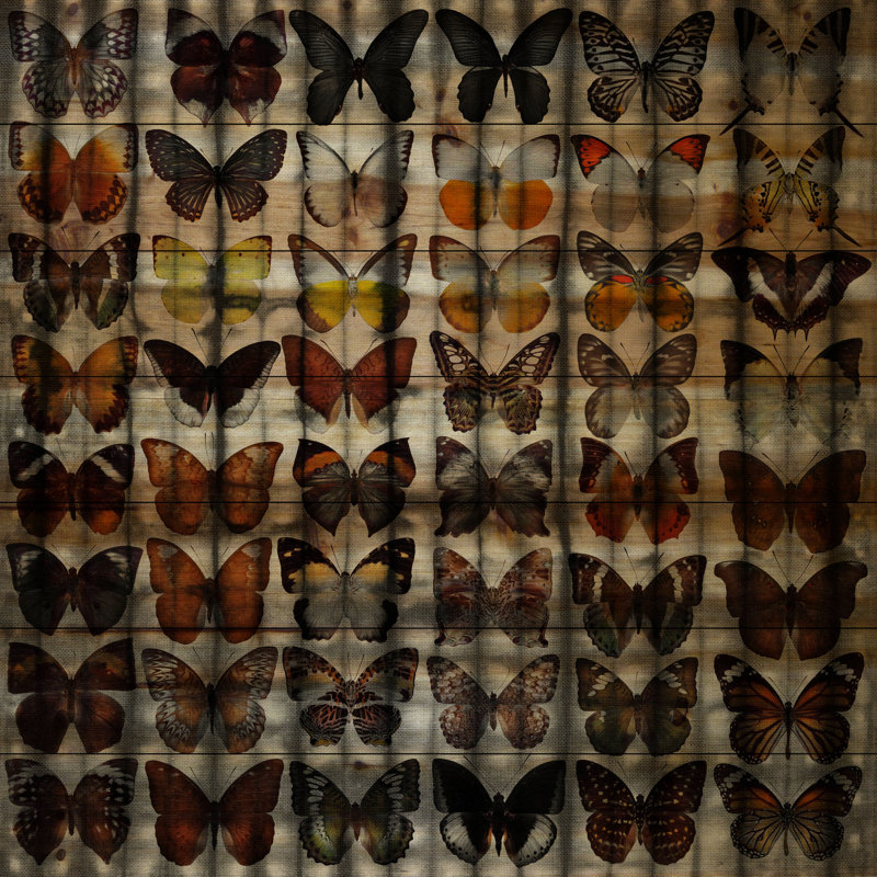 Reproduction d’art sur bois de pin naturel "viceroys" par parvez taj,, H 24 po x l 24 po x P 1,5 po