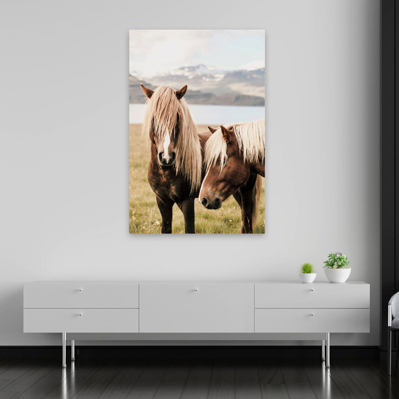Abana - Photographie Animaux, Chevaux, Nature, Art animalier, H 60 po x l 40 po