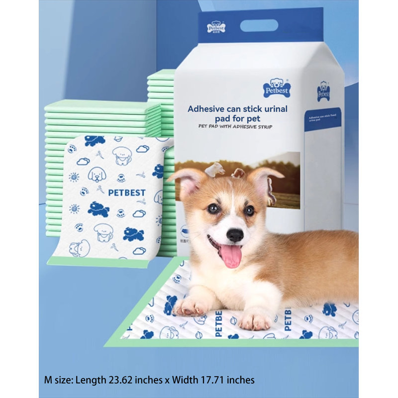 Tapis pour chien (ensemble de 50)