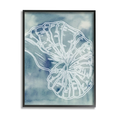 Spirale coquillage Nautilus mer