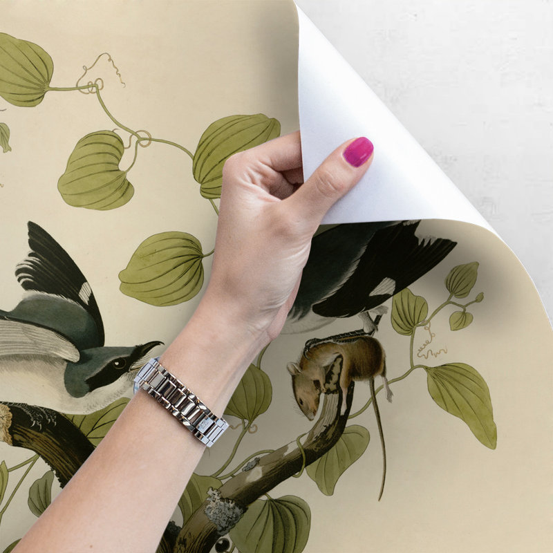 Ceandra 2.5m x 2.5m Matte Mural, 360 x 250cm