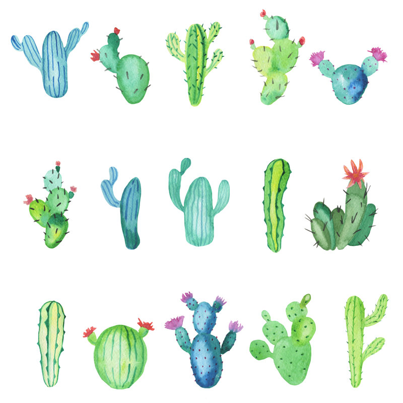 Cactus Plants by Maria Mirnaya - Wrapped Canvas Print, 30cm H x 30cm W x 3.8cm D