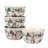 Winter's Frost Set of 4 Ice Cream Bowls