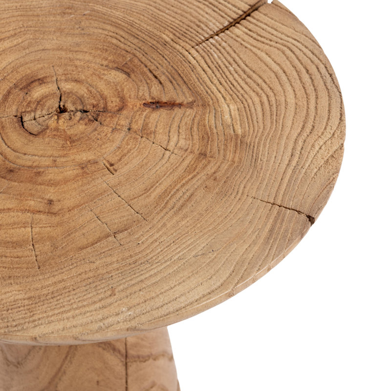 Alina Reclaimed Elm Accent Table