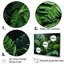 Fougères vertes émeraude II - décoration murale plantes-1804691216-1804691217