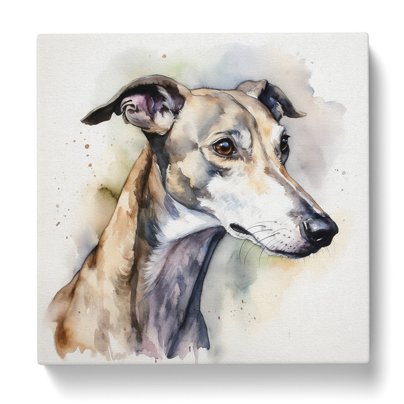 Greyhound Dog Watercolour - Wrapped Canvas, 35cm H x 35cm W x 3cm D