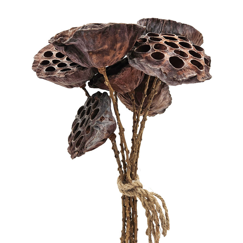 Rope Lotus Pod  Set of 6  23.5"  Natural