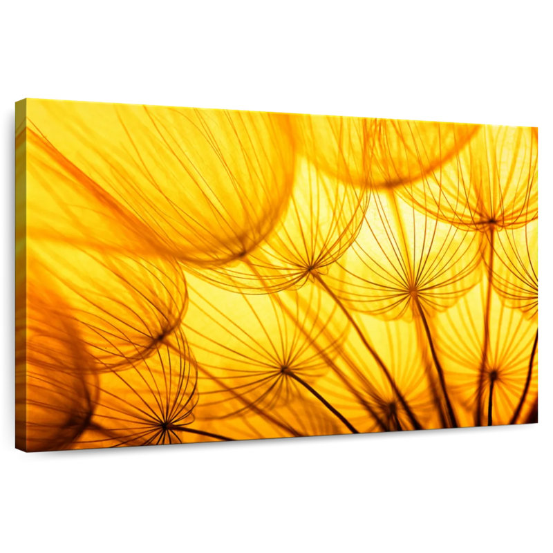 Harnek Sunlit Dandelion Seeds
