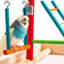 Small Wooden Playground Bird Activity Centre