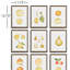 Étude de fruits assortis