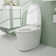Smart Toilet with Built-in Tank, One Piece Bidet Toilet with Auto Open/Close, Heated Seat, 1.08GPF Auto Flush, Blackout Flush,  UV sterilization/Foam Shield/Advanced