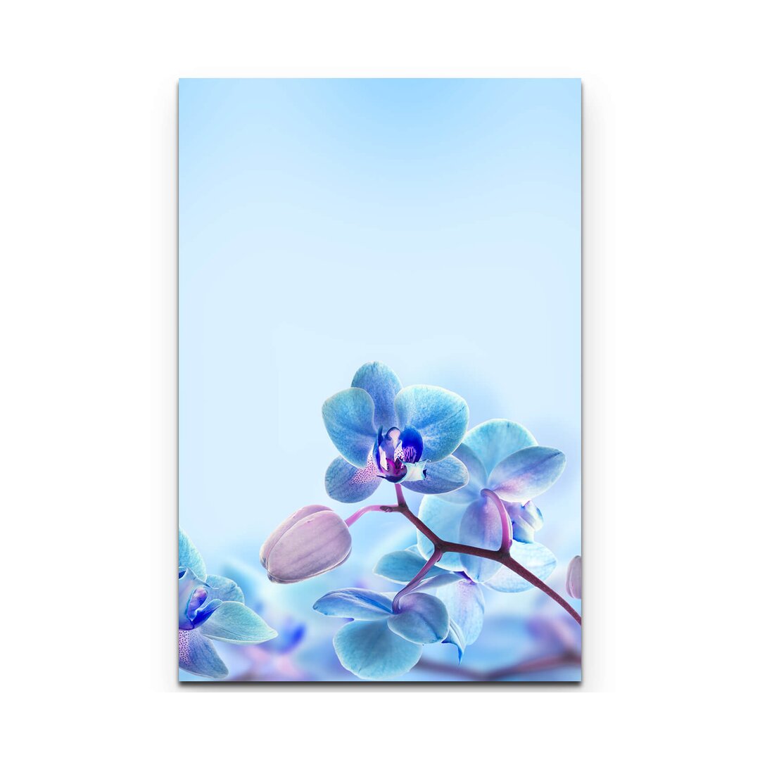 Leinwandbild Nahaufnahme einer Blaue Orchidee