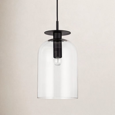Delisa Single Light Glass Steel Pendant