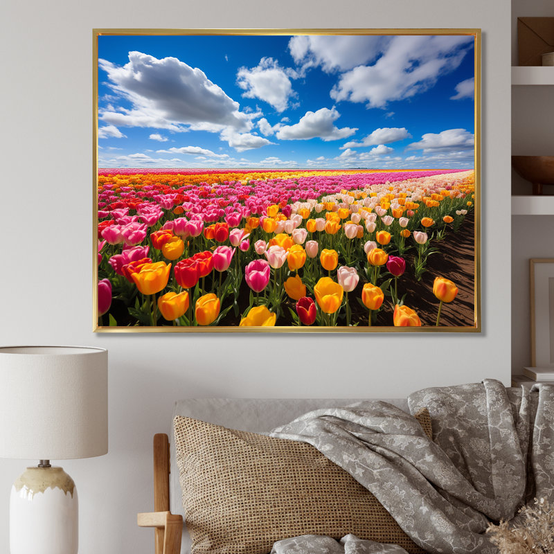Champ de tulipes colorées I - art mural tulipe, Cadre flottant doré, H 12 po x l 20 po x P 1 po