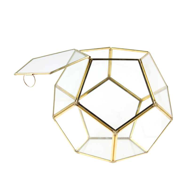 Terrarium en verre berriman Carrol, H 7,5 po x l 9 po x P 7,5 po