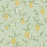 Lemon Tree Wallpaper