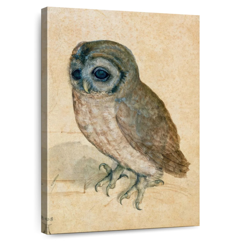 Brampt The Little Owl, 24" H x 16" W