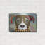«Jack Russell» par Lanre Adefioyue-1336660075