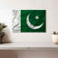 Drapeau pakistanais soyeux-1873939455