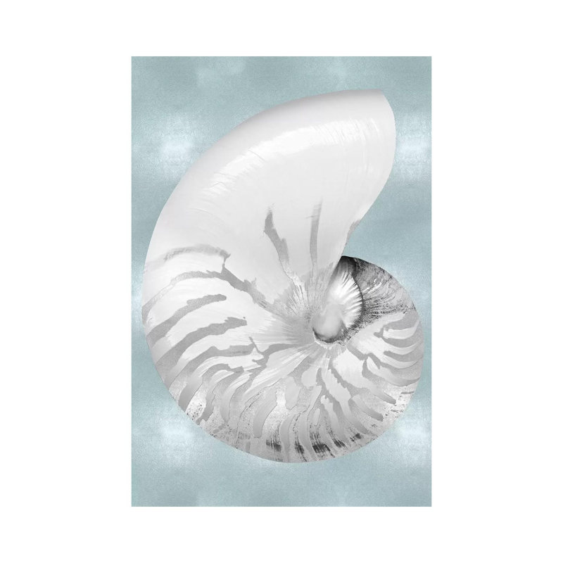Silver Shell On Aqua Blue II by Caroline Kelly - Wrapped Canvas Gallery-Wrapped Canvas Giclée, 20.32 cm H x 30.48 cm W