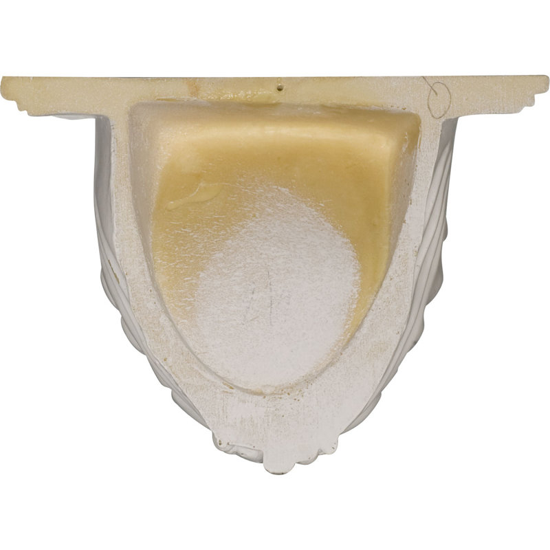 Shell 7.38'' H x 10.38'' W x 6'' D Marbleizing Bracket / Corbel