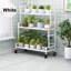 3 Tier Plant Stand-505700061