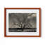 Baum Im Winter Print by Joseph Regan-66911025-66911031