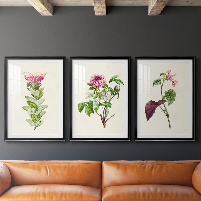 «Pretty Pink Botanicals IV», reproduction encadrée sur mesure de qualité supérieure - 3 pièces, H 19 po x l 27 po, Noir