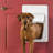 PetSafe Electronic Pet Door, Large-2845614