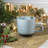 Diana 16 Piece Dinnerware Set