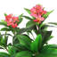 Plumeria artificiel 48 po en pot