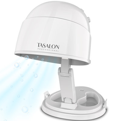 1875W Tabletop Ionic Hooded Hair Dryer with Storage Space