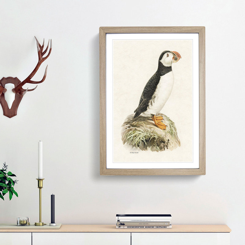 Atlantic Puffin by Von Wright - Framed Print, 45cm H x 33cm W x 2cm D, Oak Framed