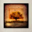 «For the Love of Trees III», reproduction d'impression sur toile tendue-21938569