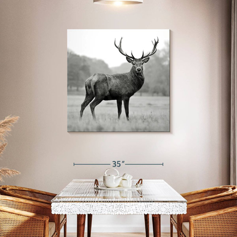 Brampt Proud Deer BW