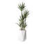 Faux Yucca Tree in Planter