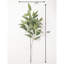 Eucalyptus Spray