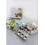 Mepra Gift Box 6 Pcs Mini Forks Evento Stainless Steel