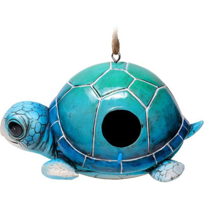 Tortue de mer