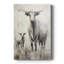 ANIMALS Series CCLxxvii - Gallery Cavas personnalisée-1511765460