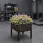 1 Tier Plant Stand