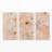 Blushing Blooms | 3 Panel Split Large Canvas Print-103789425