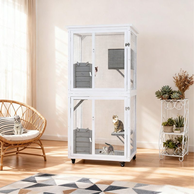 Cage de jeu d'extérieur pour chat