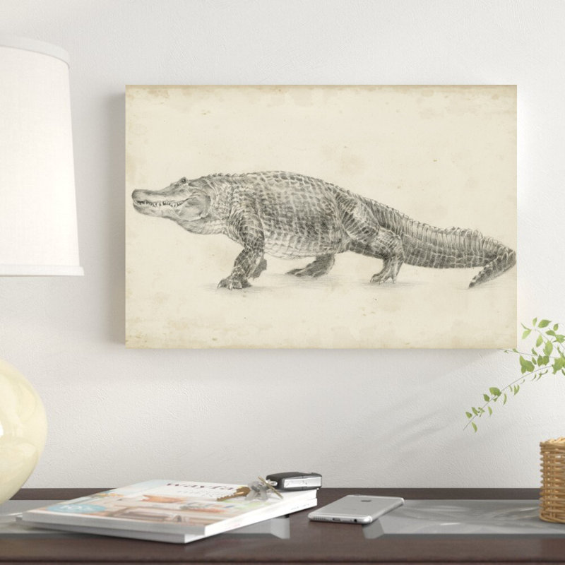«Alligator S croquis» par Ethan Harper - reproduction de dessin sur toile tendue, H 12 po x l 18 po