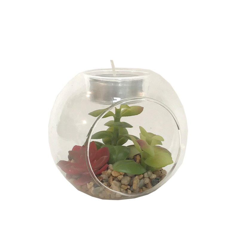 Matcha Landscape & Nature Cloche Or Water Globe