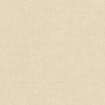 Rouleau de papier peint L 32,7 pi x l 20,5 po 