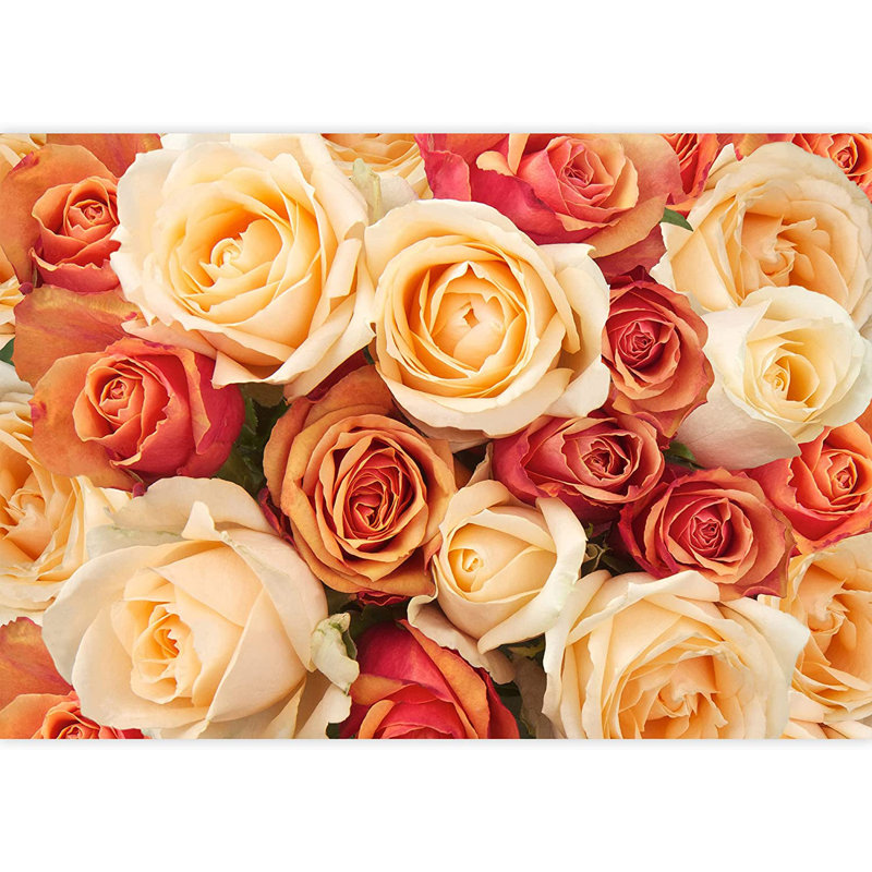 Élégante fleur rose M16, L 66 po x l 96 po