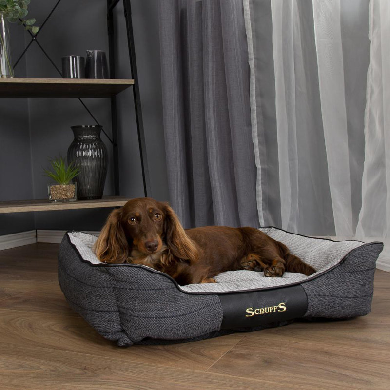 Windsor Polyester Pet Bed, Charcoal/Grey, 16cm H x 50cm W x 40cm D