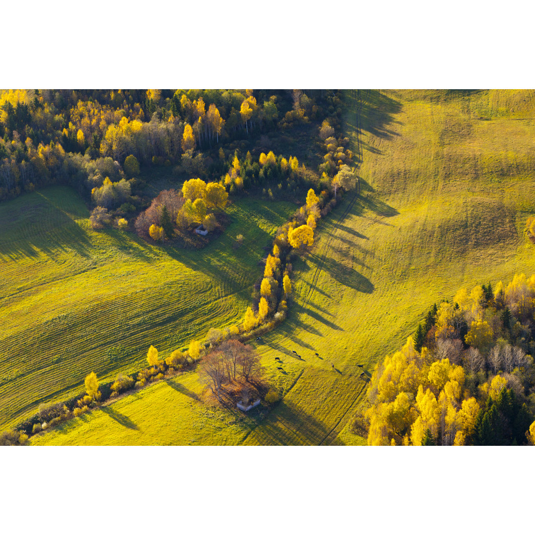 Herbst in Lettland von Proxyminder - Drucken