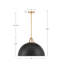 Luminaire suspendu en forme de dôme à 1 lumière Carlisa-1785323476